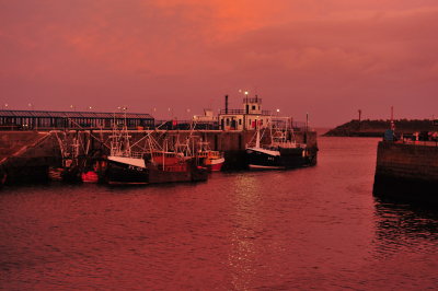 DSC_2138.JPG