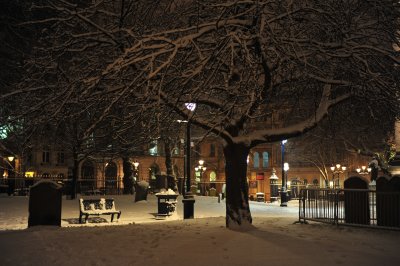 DSC_2585.JPG