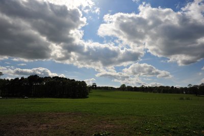 DSC_2768.JPG