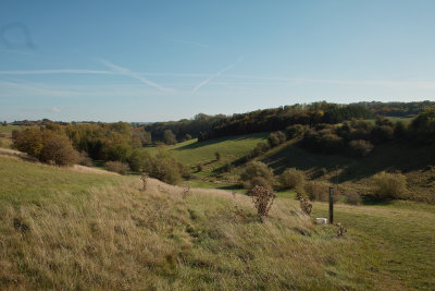 SDIM0134.jpg