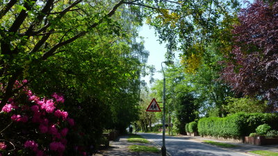 P1020252.JPG