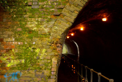 DSC_8954_1.jpg