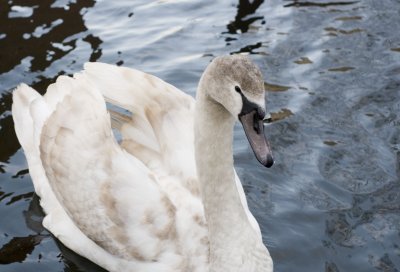 DSC_8972_1.jpg