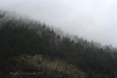 Misty Mountain 4996.jpg
