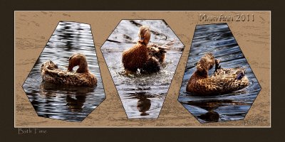 ducky-01w.jpg