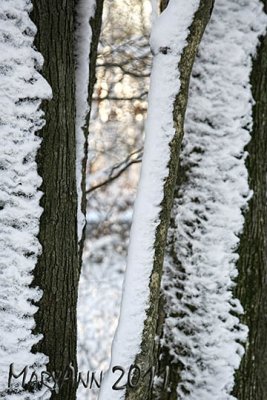 Pocono Snow 3197.jpg