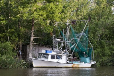 Shrimp Boat
