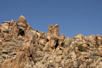 Grapevine Hills Trail