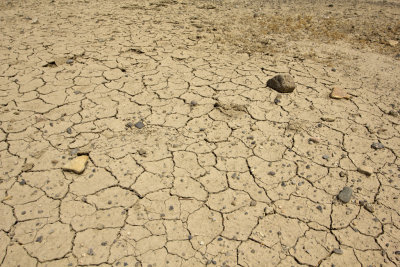 Dry as a bone - No rain in 11 months