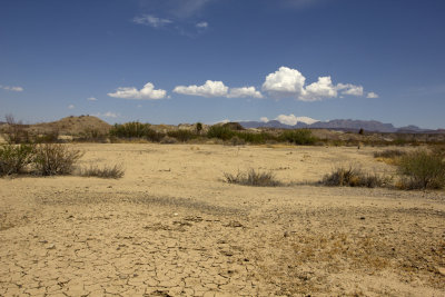 The desert