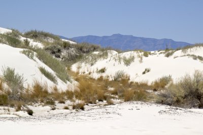 Sand Dunes