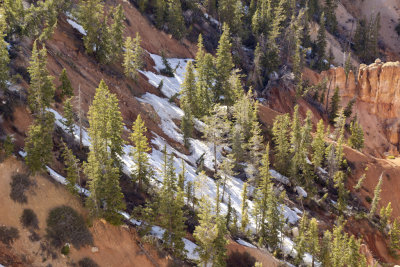 Snowy hillside