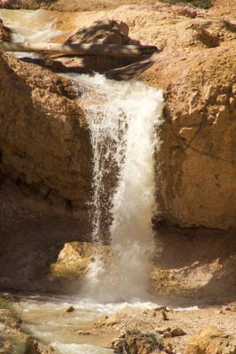 Tropic Ditch - Water Canyon