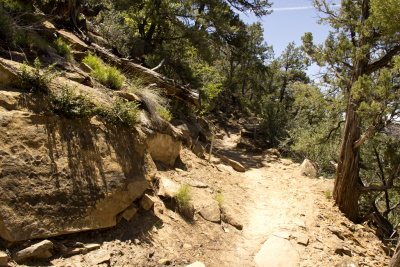 Trail to the Petroglyphs