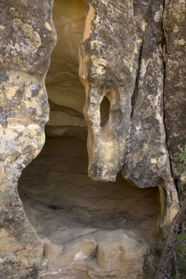 Trail to the Petroglyphs