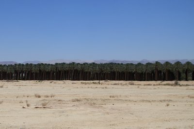 IMG_5233.jpg