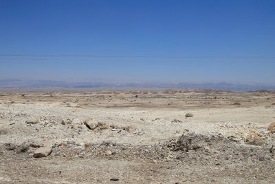 IMG_5299.jpg