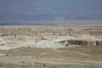 IMG_5408.jpg