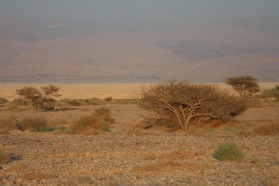 IMG_5595.jpg