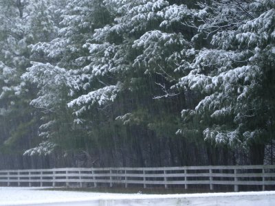 Dscn01890001Merryoaks fence cedars snow 1.JPG
