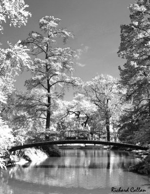 Public Gardens Bordeaux