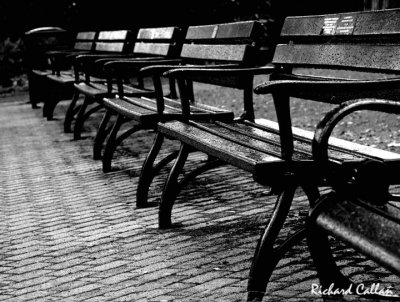 Empty seats in the park waiting for elderly bums