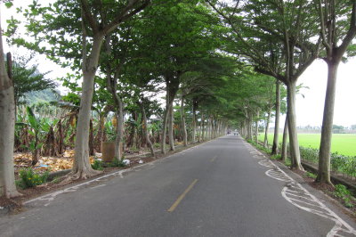 Sowers Taiwan1061.JPG