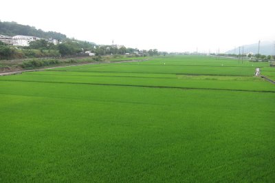 Sowers Taiwan933.JPG