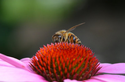 DSC_2144.jpg