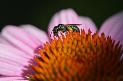 DSC_2802.jpg