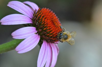 DSC_3164.jpg