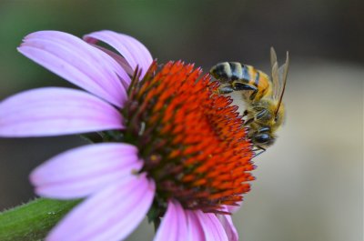 DSC_3173.jpg