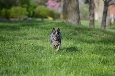 DSC_0479.jpg