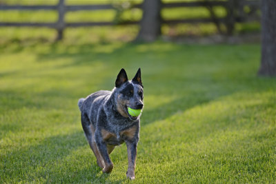 DSC_1172.jpg