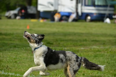 DSC_1504.jpg