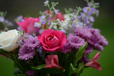 DSC_0047.jpg
