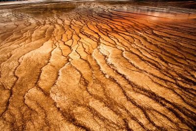 Grand Prismatic Stream Runoff 12759.jpg