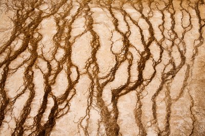 Runoff Patterns12809.jpg