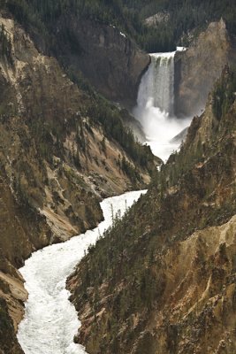Artist Point - Lower Falls Yellowstone River 12946.jpg