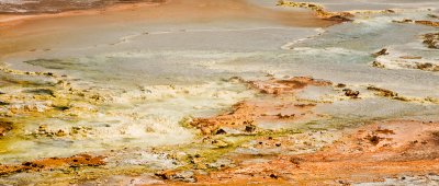 Runoff with Algae and Mineral Deposits12733.jpg