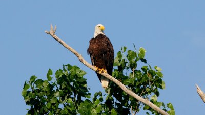 Sandy Ridge Reservation