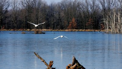 Sandy Ridge Reservation