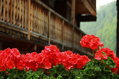 Grimentz