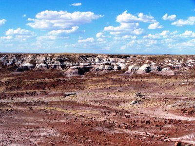 Landscapes in the Petrified Forest - July 2009