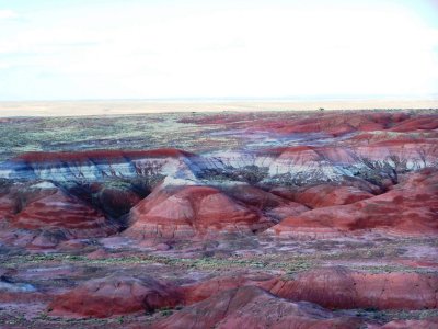 Landscapes in the Petrified Forest - July 2009