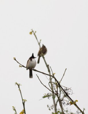 _MG_7382.15.02.2012.jpg