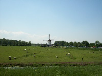 Kinderdijk