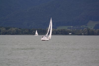Chimsee