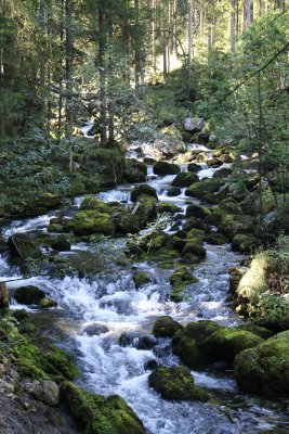 Gollinger Waterfall