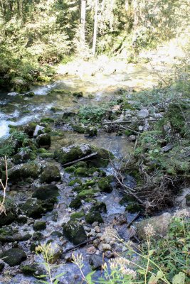 Gollinger Waterfall